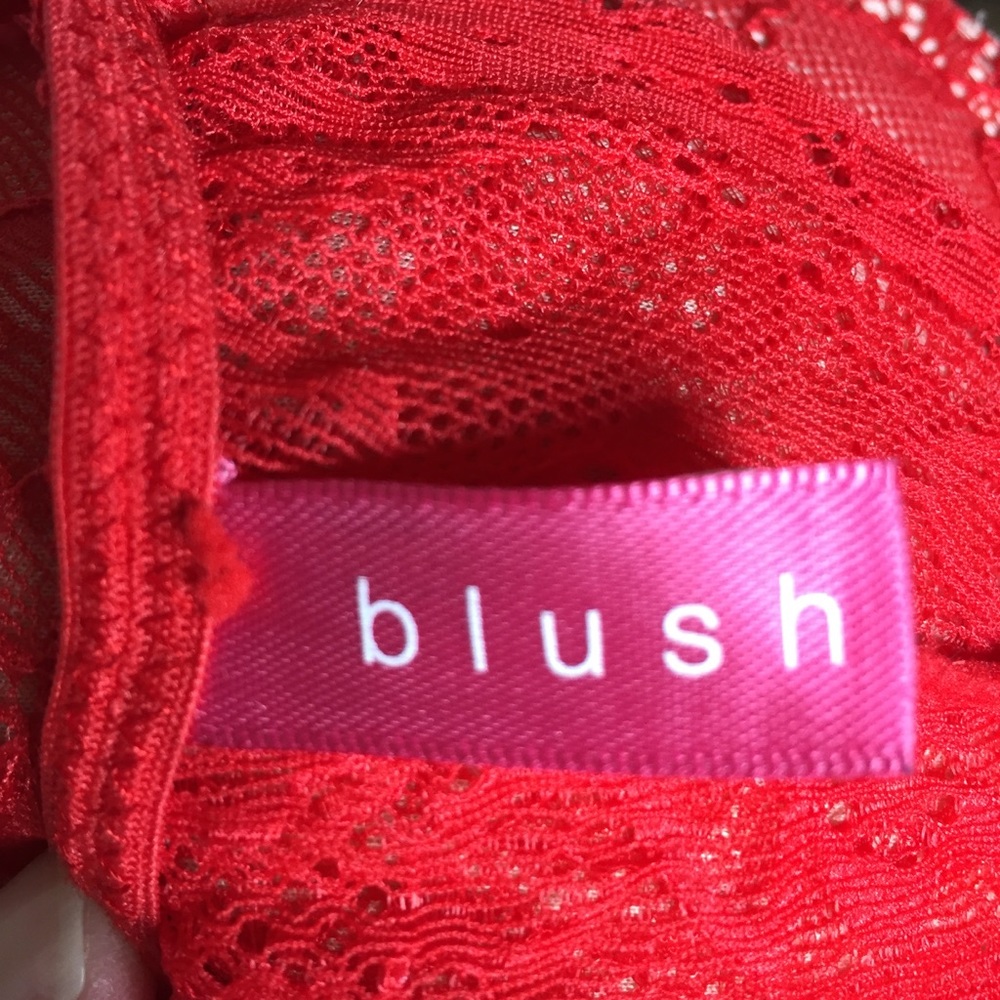 Blush Bra - Picture 4 of 4